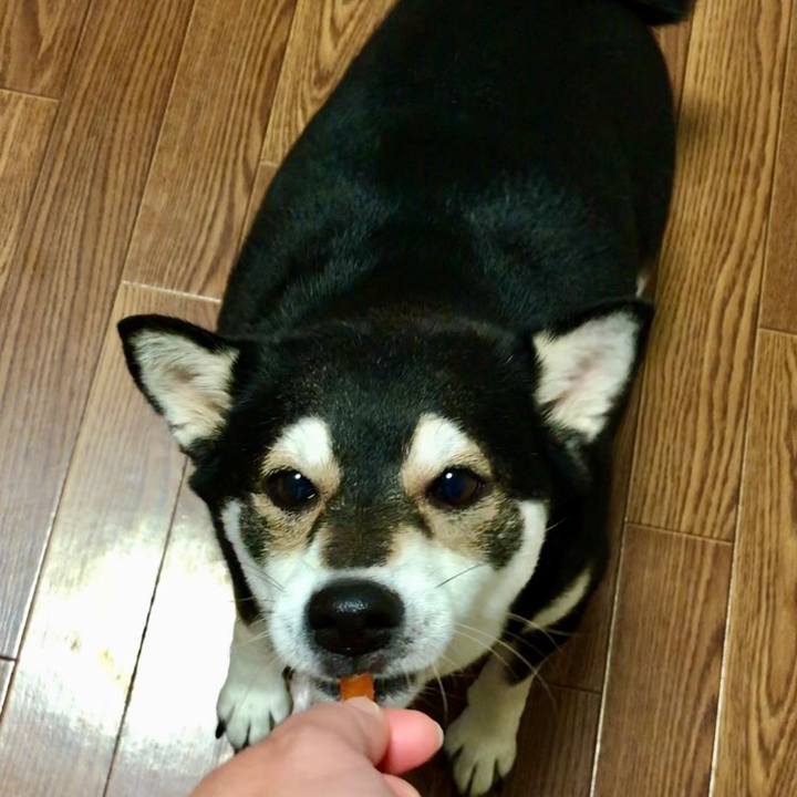 Fcfc46c8 0a0f 495d aaa5 595eff870cb8 1575377040613