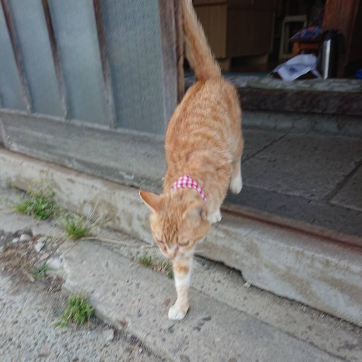 Fcfc8d1c fe6f 4e5b af6c b523a263ebbe 1558601659278