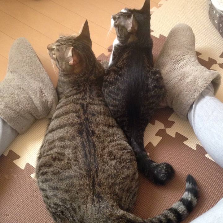 Fcfd015e e11c 4c9a 9f50 0b51a66d086f 1511327436630