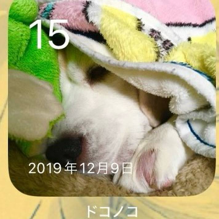 Fcfd1508 c0b0 4455 9a1f 3bbc32af4368 1702599026902