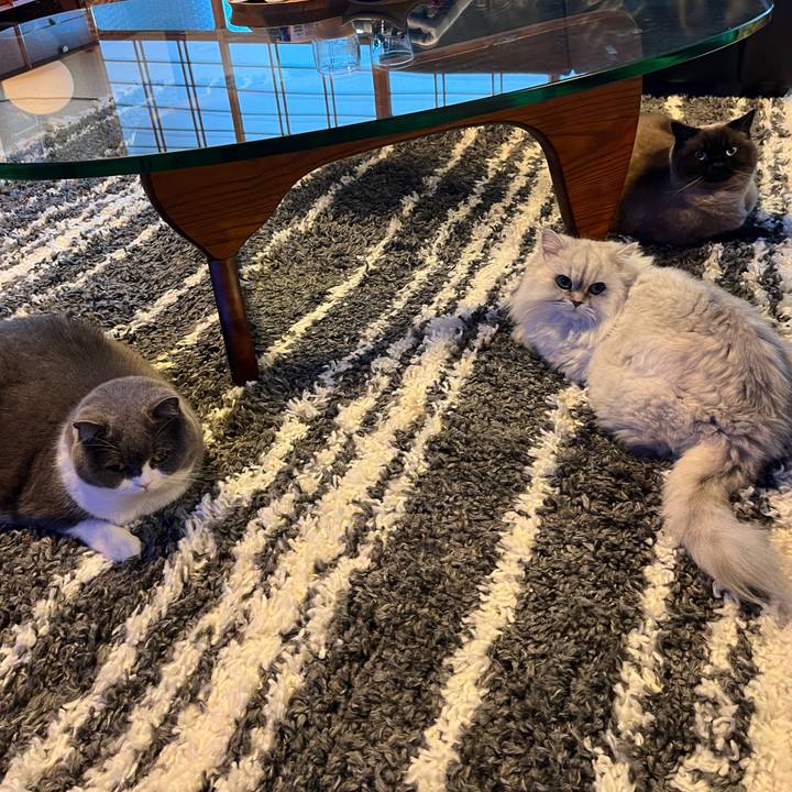 Fcfd2094 d50c 4314 b20d 457b383ad39c 1672182271145