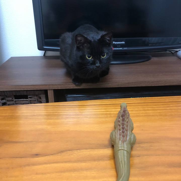 Fcfd76d8 a7ef 49ba be26 57ab0101dcc0 1514300808952