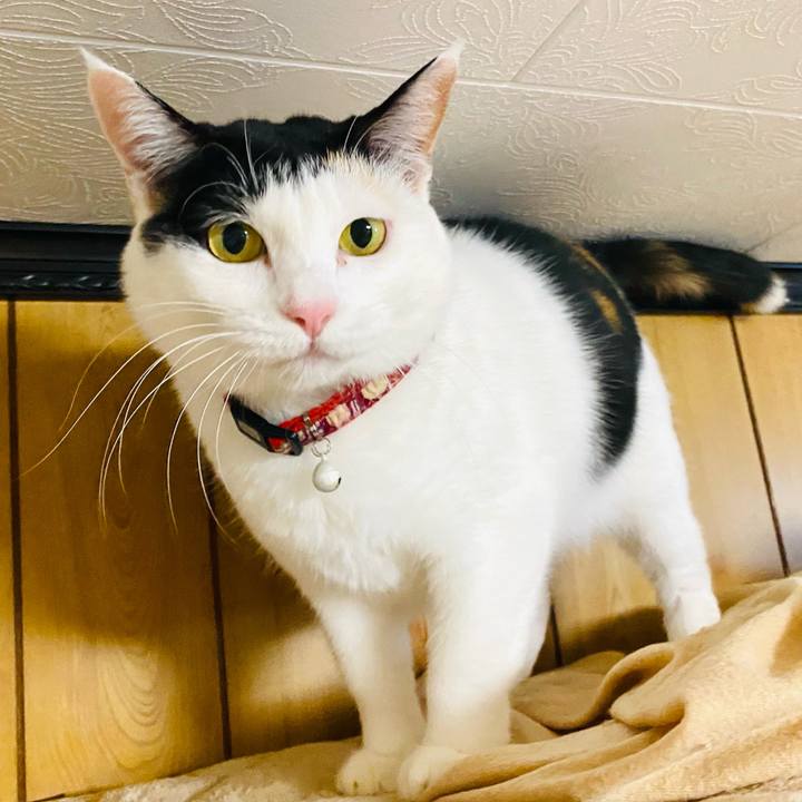 Fcfdb0f7 4fcf 4648 9e32 1f6e3ba27804 1672560110579