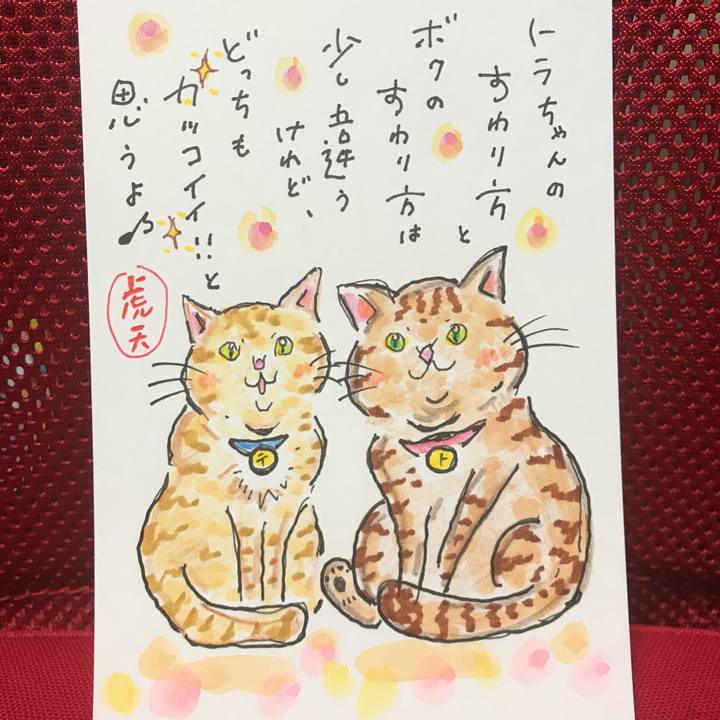 Fcfdc569 8641 439b 9da0 0db3867ff18e 1544307415766