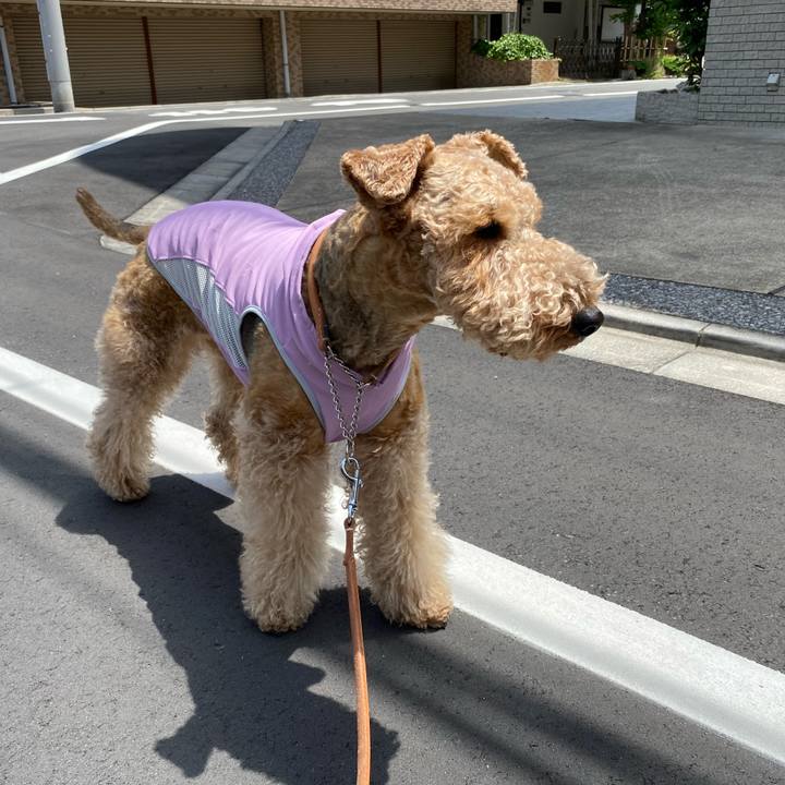 Fcfe2298 a362 430d 9852 862c1e794aad 1620096358700