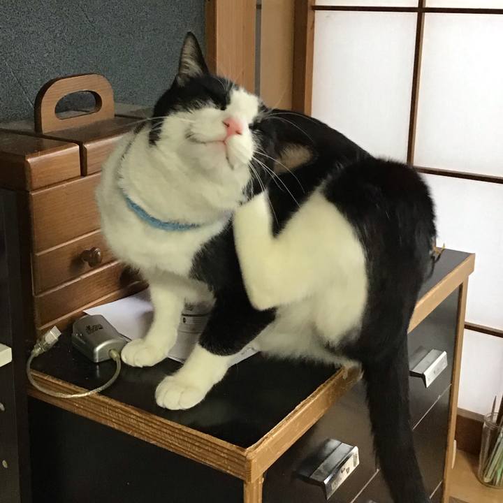 Fcfe42b2 460f 4196 87e6 fb434e9558c0 1740975288483