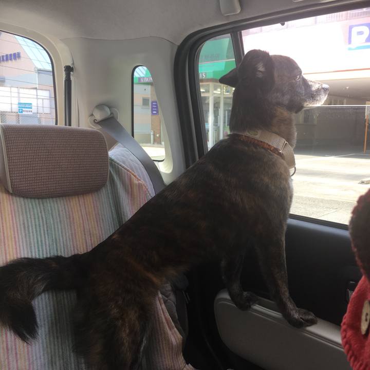 Fcfe741e fc24 4501 a3b8 864afd43b4c9 1558078825928