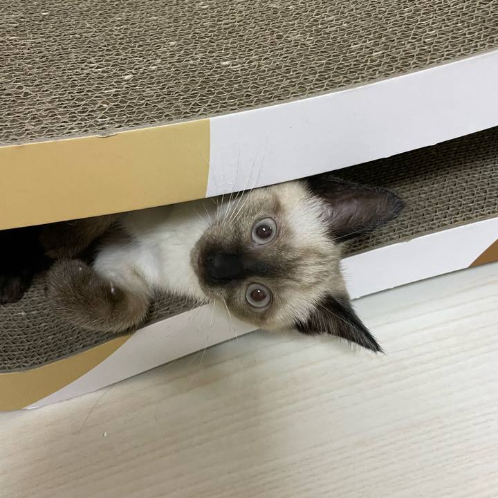 Fcfe78ee 3f0f 4252 9380 98664228a891 1690227960307