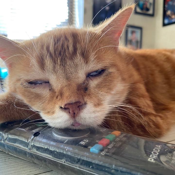 Fcfe7fe5 e4c1 4a98 a9eb ac4cfd99ff23 1602986411630