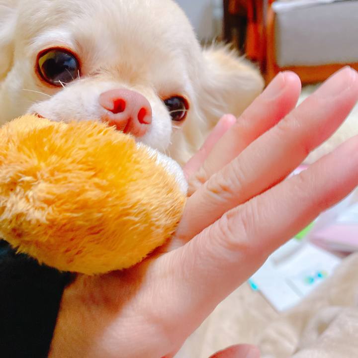 Fcfe8a83 3008 4a16 b200 08323773fe07 1641705537722