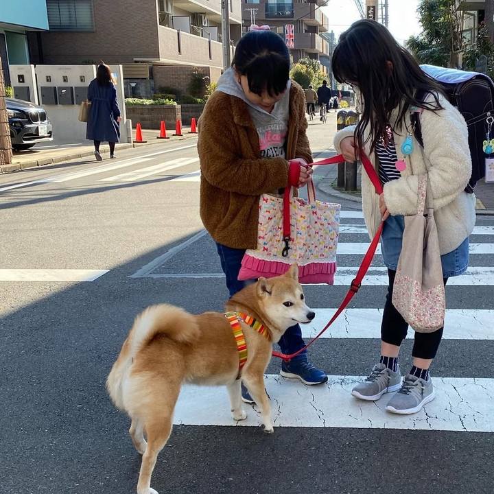 Fcfea7af 6eaa 4d35 9e57 9dba2c8c40a1 1742077560060