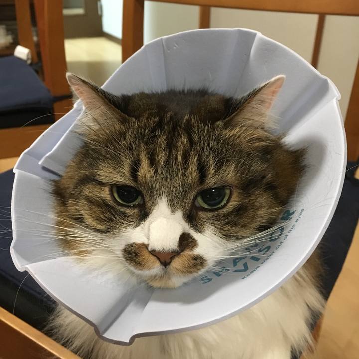 Fcfebb3c 911b 45e2 a7c0 57d157e0f334 1512814944834