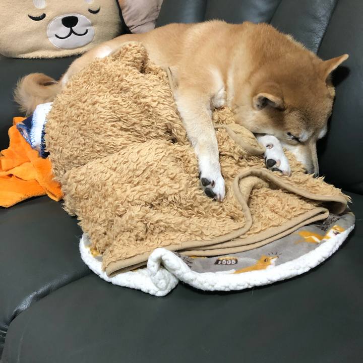 Fcfee13d f423 4f1b 8e21 4b71e8bd4e90 1580703589431