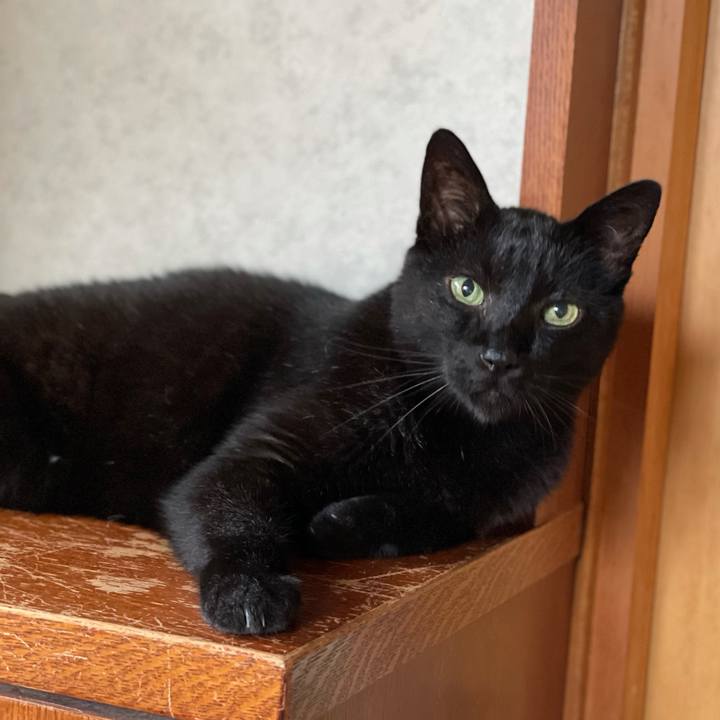 Fcff0600 af02 4123 b523 cb4975b9260a 1625450937581