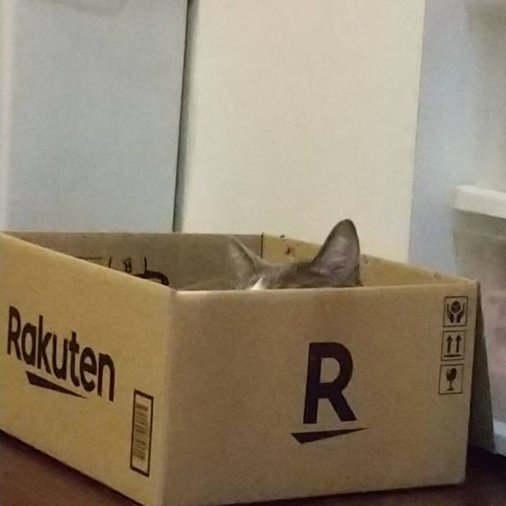 Fcff23f6 a2c5 44ca 995d 7264f05b47bd 1634649394027