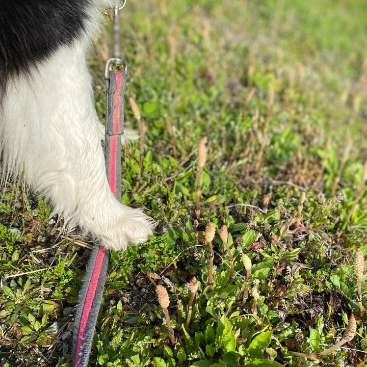 Fcff393d 3a29 4b12 b122 cee5c5832c92 1648342314298