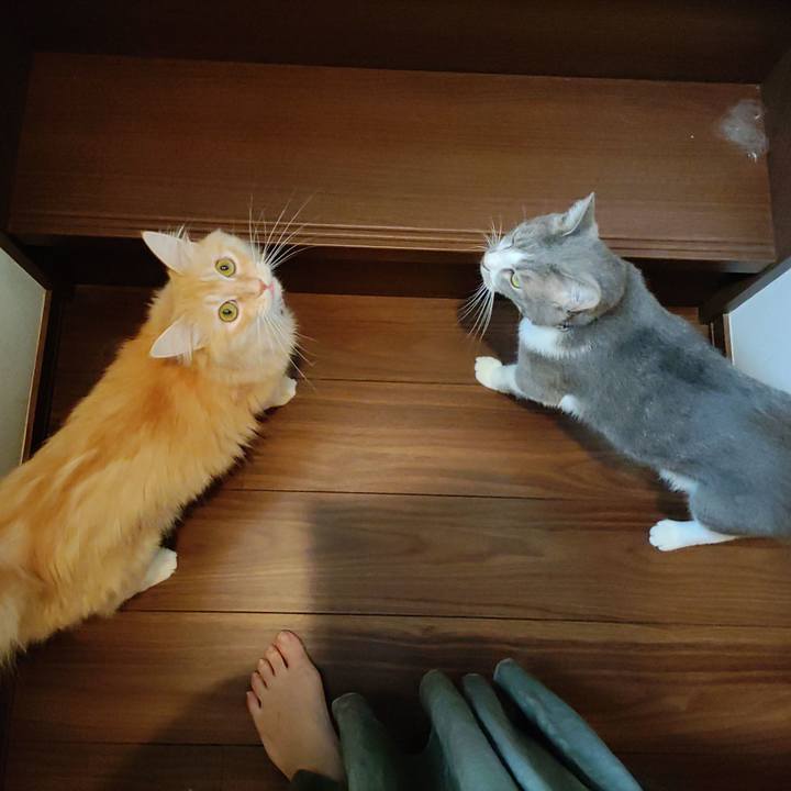 Fcff8ba1 95c2 4f8d 9330 dcd76ab1fa49 1694254708919