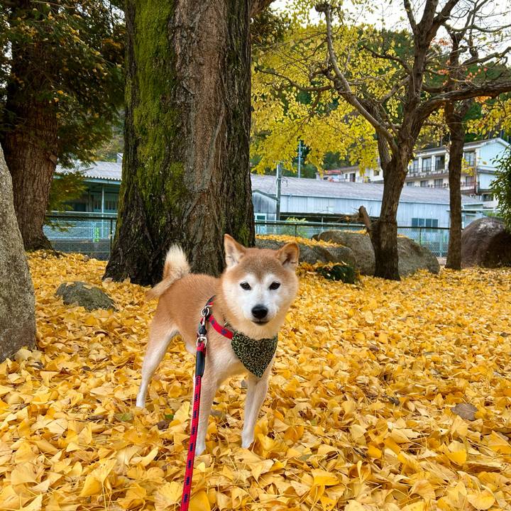 Fcfff23d b86d 487e 84c5 17202de69757 1699691012835