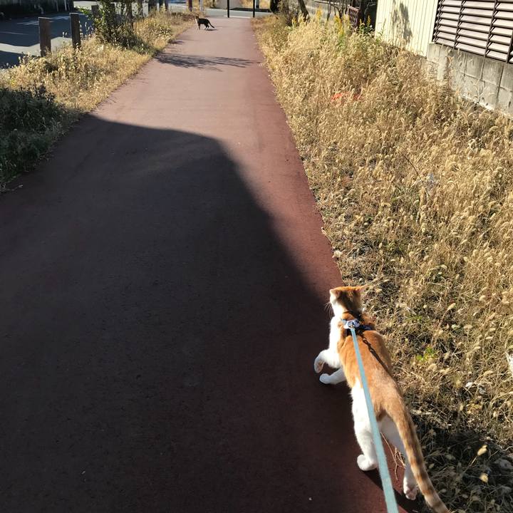 Fd00448c 9ffc 4bcb b7e5 05977592d817 1512192844982