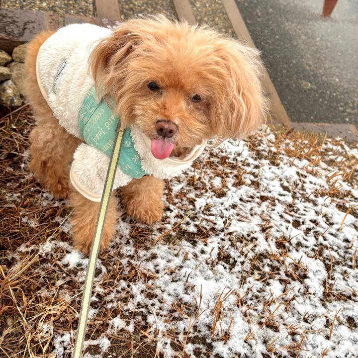 Fd0049ee 4da1 4de2 a1b8 c9d82990c25a 1769063652449