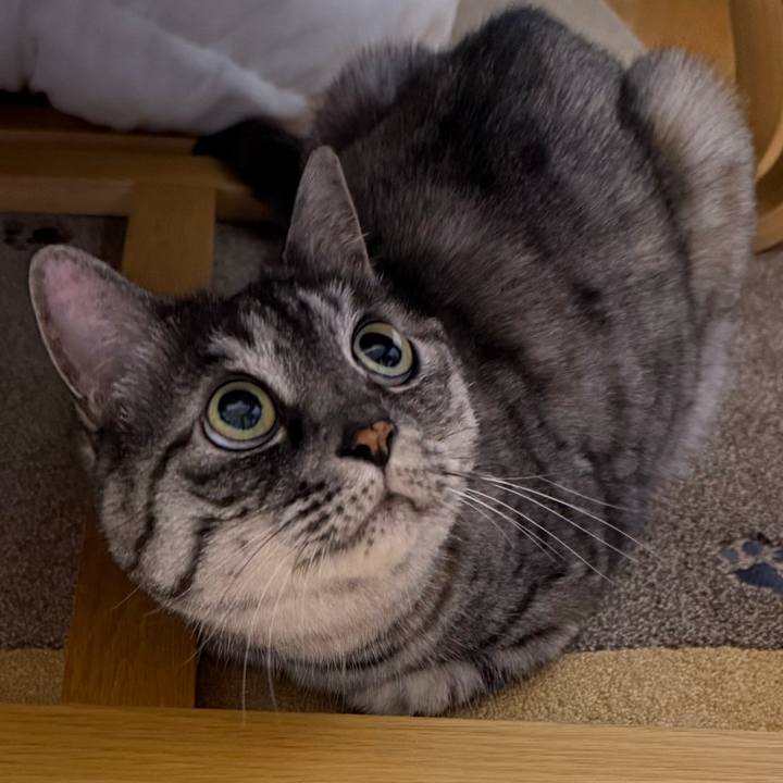 Fd005572 e138 4dbf bdd7 e9ffbbf31197 1759890497839