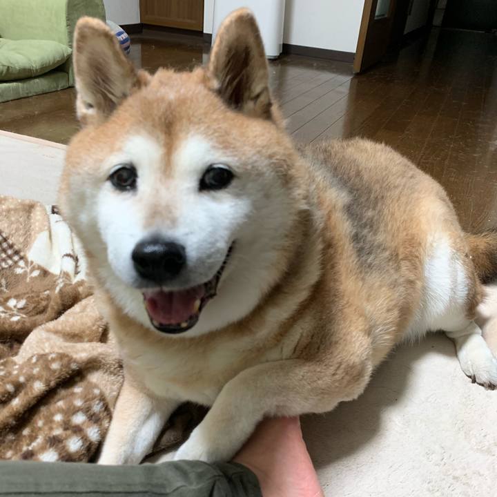 Fd005e98 6316 4717 af64 284cfd06c63e 1572609696493