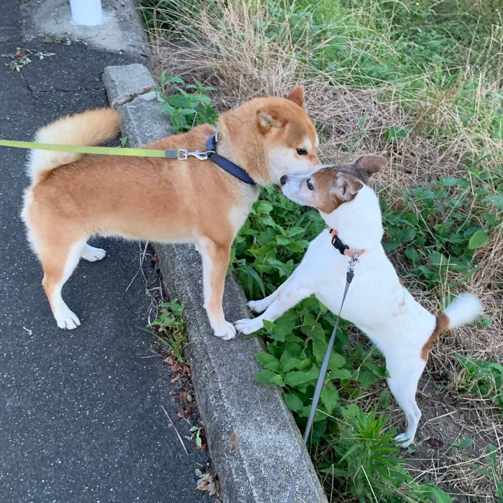 Fd005ff4 baf8 42c3 a07e fbd163d2b92f 1626875519858