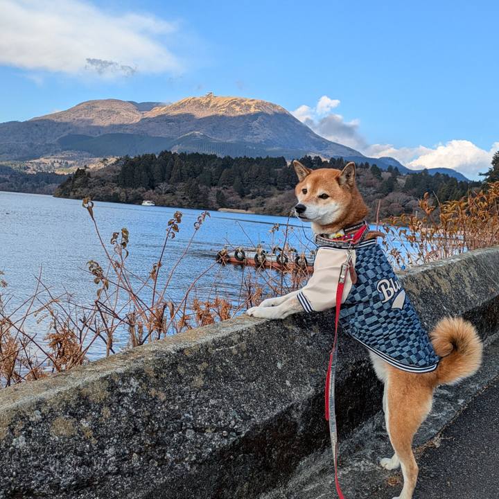 Fd009db3 b4c5 4ff0 9f61 5a8625d0aee9 1734621504180