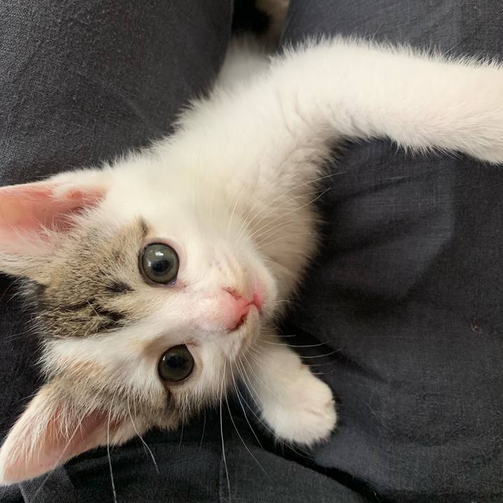 Fd00b6e9 aa1b 41c4 a363 e771ff23f46e 1591248152703