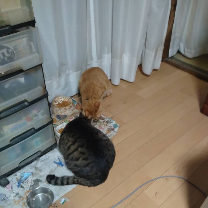 Fd00fd4c 8628 4408 adae f98be84f7fba 1705792921740