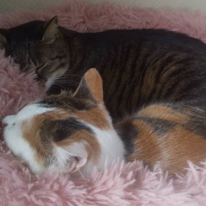 Fd011796 35de 4b98 b14c 7f7b3a22a713 1743228525686