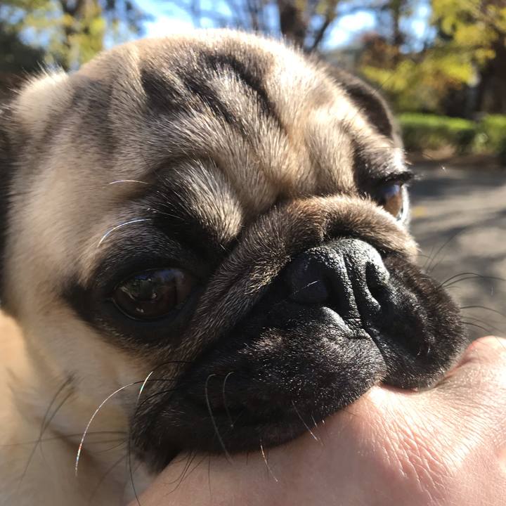 Fd014b42 de90 45fd bd9b e5169b582b1c 1544840049215