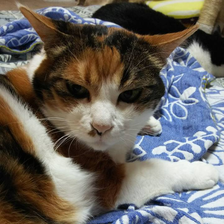 Fd016f57 1b3a 4ee0 b7ee 808c0c76095a 1533944402752