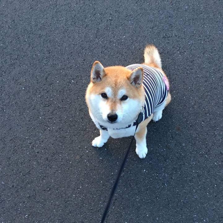 Fd017431 355d 4805 9fe7 25364eaa200c 1554805034973