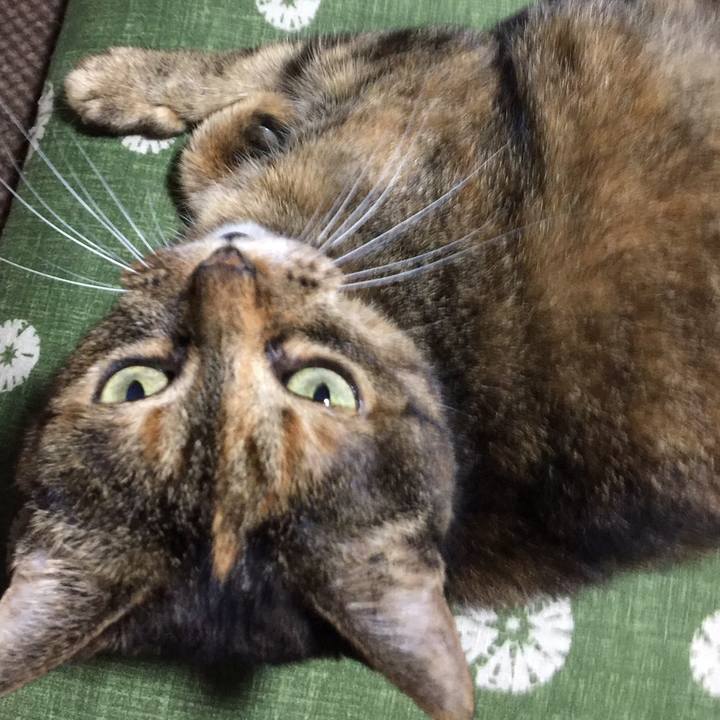 Fd0177eb aed8 4596 9f83 2fdb1a4f9572 1558386331221