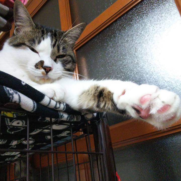 Fd019372 8ad0 45e4 8809 54897db995ab 1652955761833