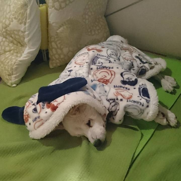 Fd01df64 0f56 4f3b 9a2d ebfcd642770c 1510100637829