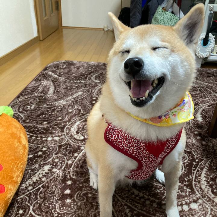 Fd01e1f5 b3e9 40bf 834f 3396d6c7b298 1613215148248