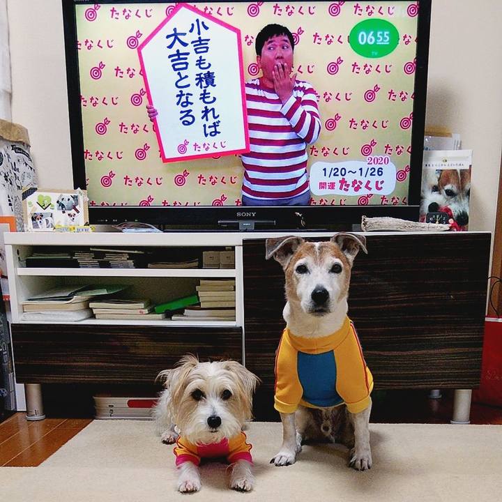 Fd0217ac 667e 43b7 963a fb531294adf2 1579472265499