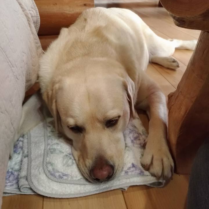 Fd0220f2 9f21 4c35 a187 39b019e8414c 1569044719466