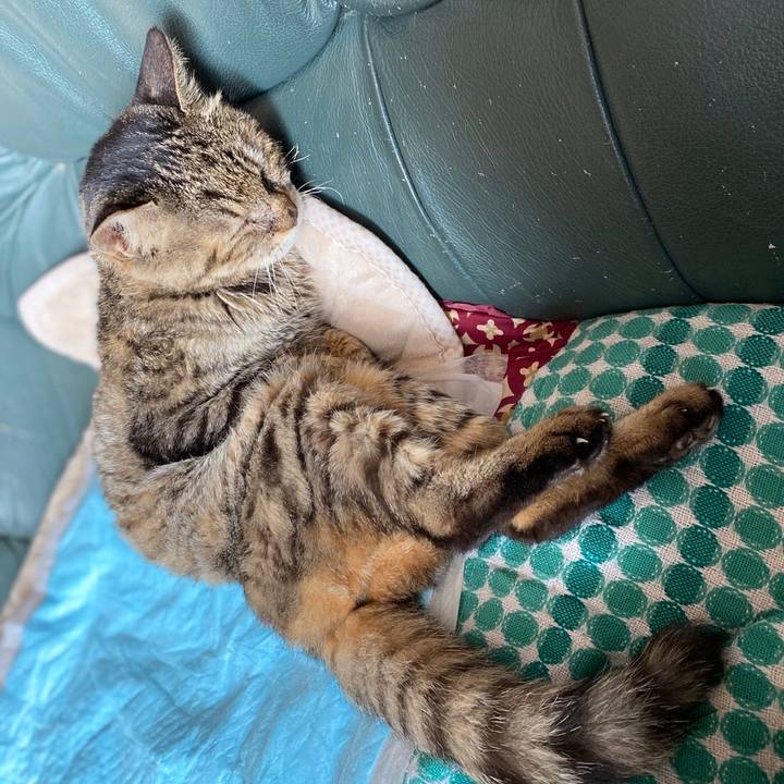 Fd022234 1af3 4a1d bbdd c879d33ec376 1584877592794