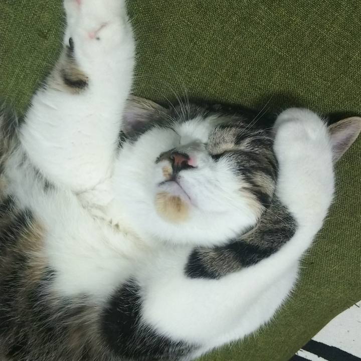 Fd0245b1 9ef4 4bb5 97f4 d9db68599482 1621767015001