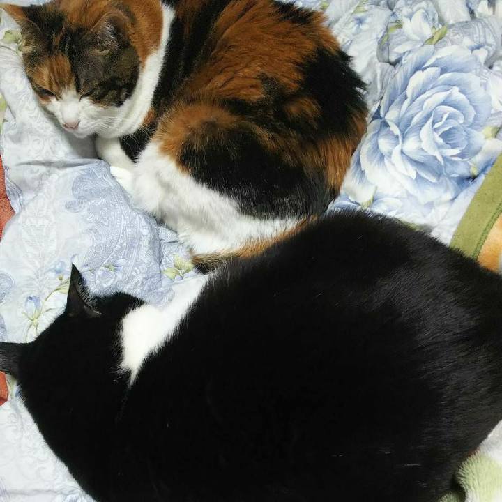 Fd026ba2 434c 4ad7 acf3 b8cdf8db771b 1578711895780