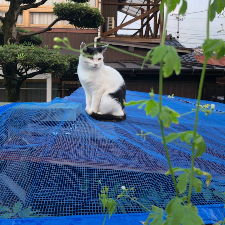 Fd0277ff 7304 4983 be5f c674edc0329f 1599729256013