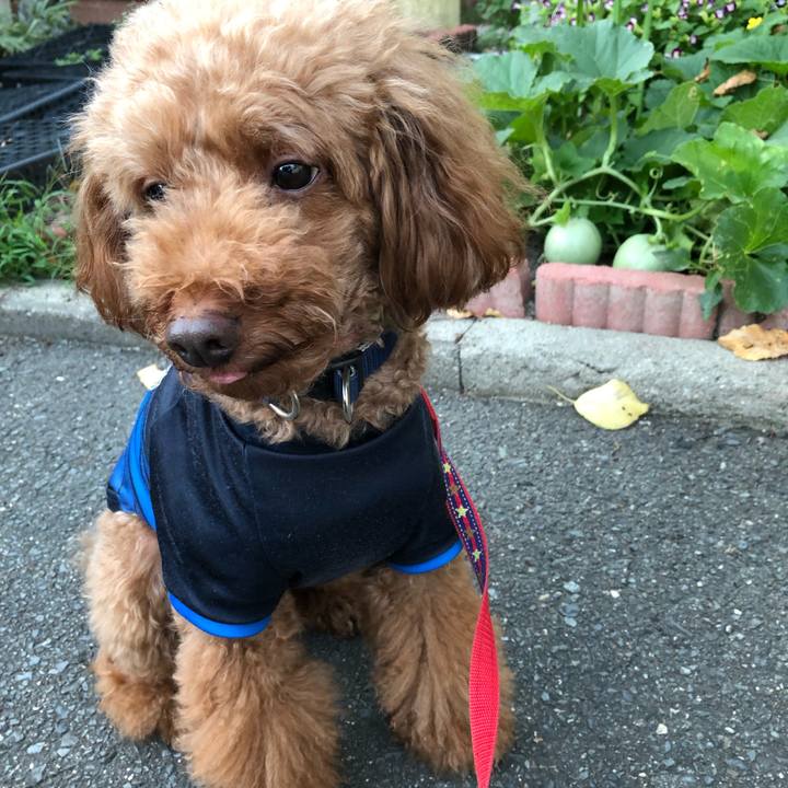 Fd02804e f2d5 47ff 90f2 64991615db68 1568873310810