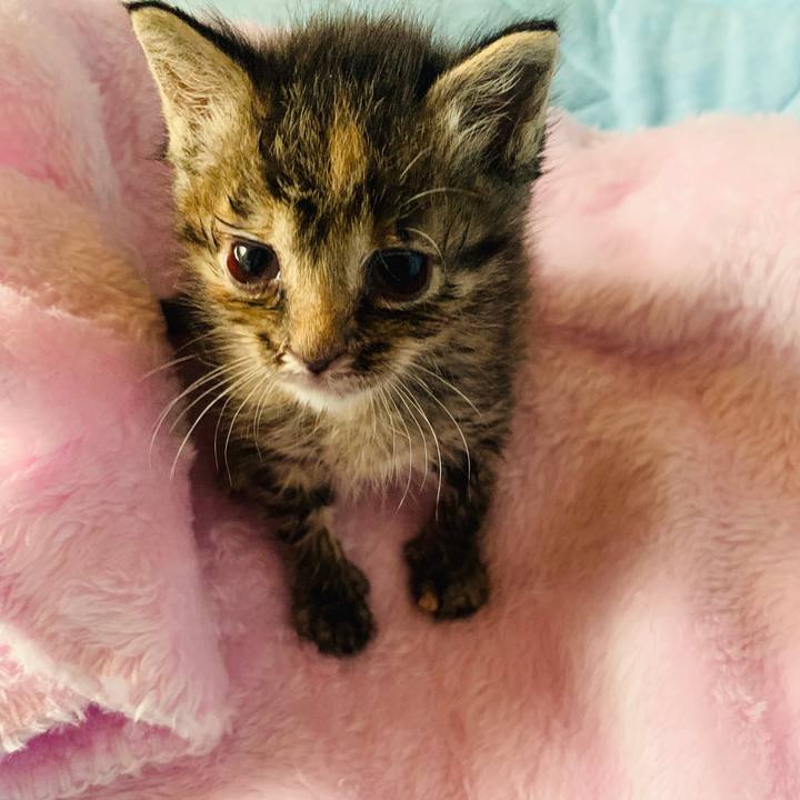 Fd028ff9 478e 4679 9f99 452d266f3815 1556503963530