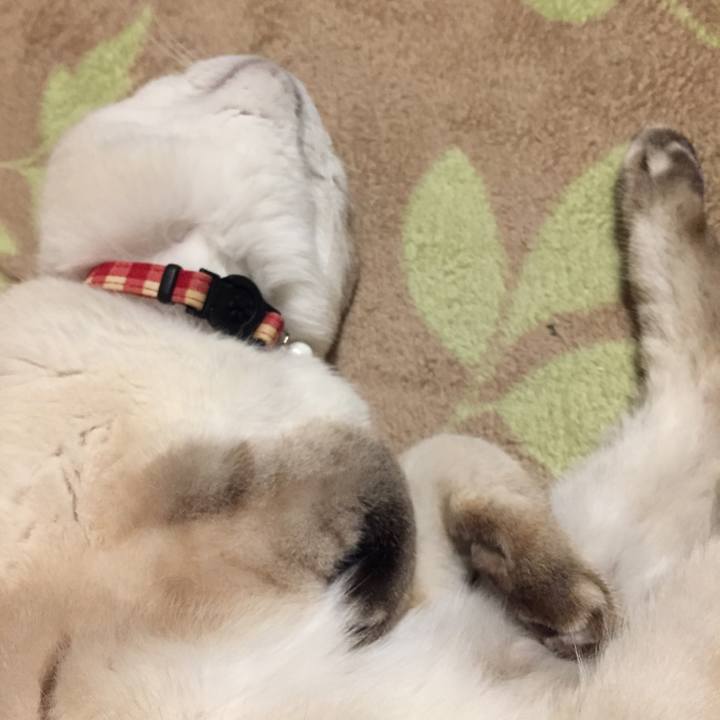 Fd02ca6d 9aee 40dc badb 3792969496ee 1576064853916