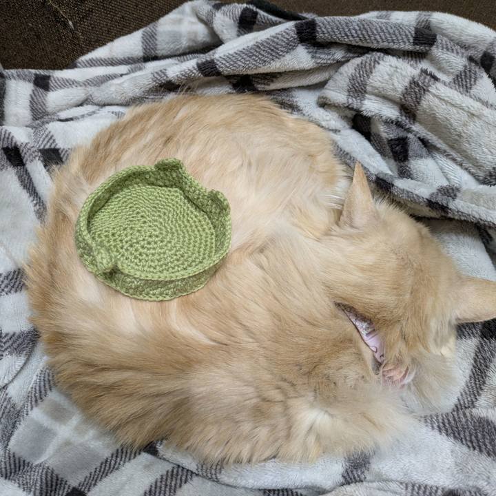 Fd02e34e b639 40dc 85b3 e9a8cb1f2e32 1769445314856