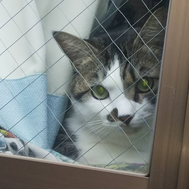 Fd02eedc 9a65 425f 8021 32053d259f22 1664923491529