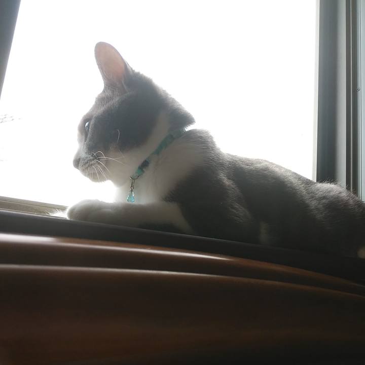 Fd03359f b5aa 4dac 98e9 ae83fbfe9cca 1592172711075